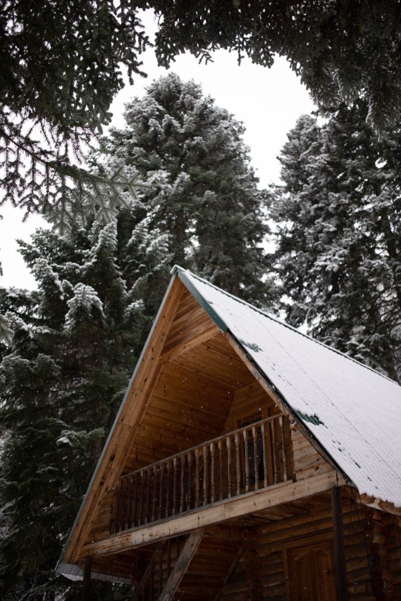 Cabin among snowy pines