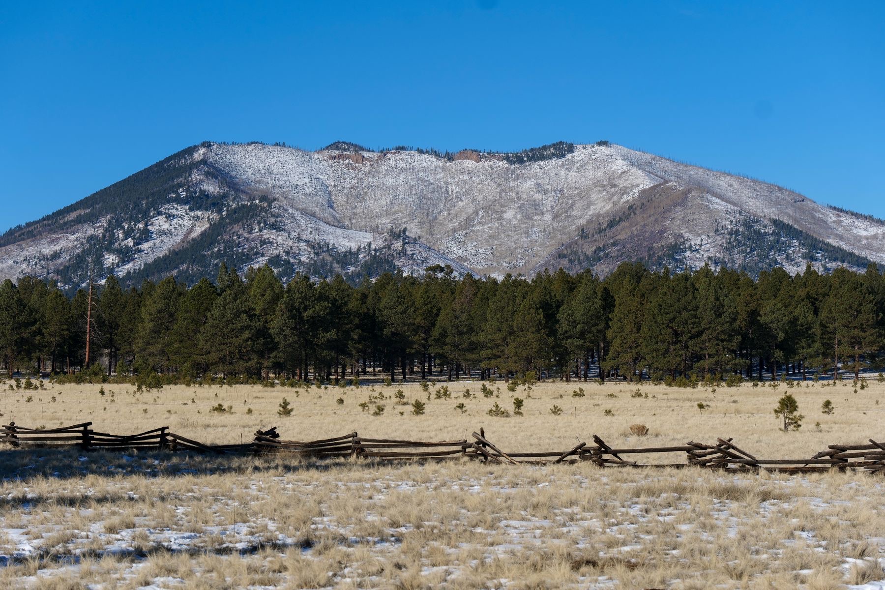 Snow dusted mountain behind a split rail fence and ponderosa pines